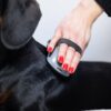 Щітка масажна FURminator для собак та котів, гумова - Image 8