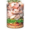 Сухий корм Carnilove True Fresh для дорослих собак всіх порід, з яловичиною - Image 3
