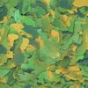 Сухий корм Tropical Bio-Vit для травоїдних акваріумних риб - Image 2