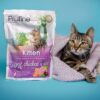 Сухий корм Profine Kitten для кошенят з куркою та рисом - Image 6