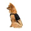 Сукня Pet Fashion «Chic» для дівчаток, розмір M, чорна - Image 2
