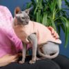 Светр Pet Fashion «Cat» для кота - Image 3