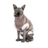 Светр Pet Fashion «Tom» для кота, капучіно - Image 3