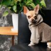 Светр Pet Fashion «Nick» для собак, мокко (лімітована серія) - Image 5