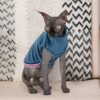 Светр Pet Fashion «Wiki» для котів, синій (лімітована серія) - Image 3