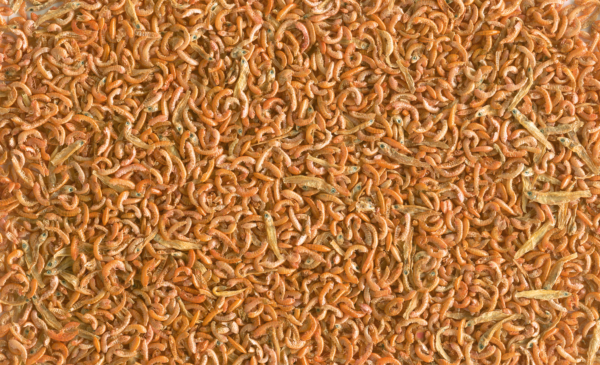 Корм Tetra ReptoMin Mix Gammarus для водних черепах, 250 мл - Image 3