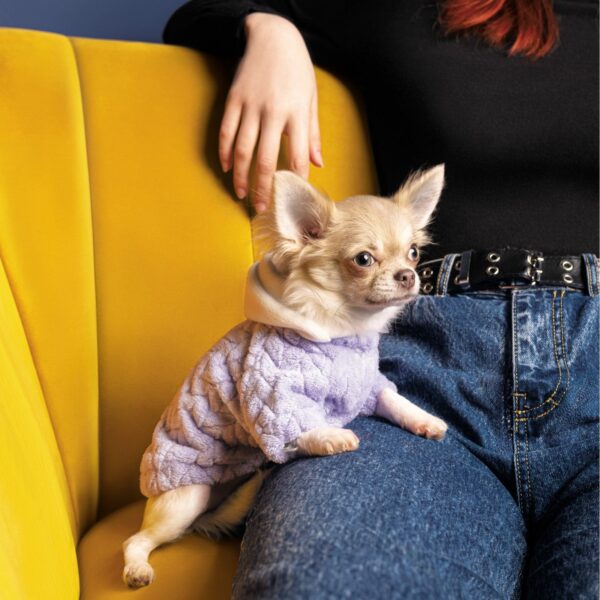 Толстовка Pet Fashion «Delicate» для собак - Image 3