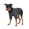 Толстовка Pet Fashion "I stand with" для собак, розмір M, сіра - Image 2