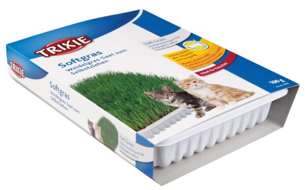 Трава Trixie Soft Grass для котів та кошенят, контейнер, 100 г