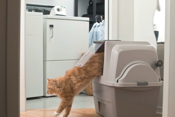 Закритий туалет Catit Smart Sift для котів (пластик) - Image 4