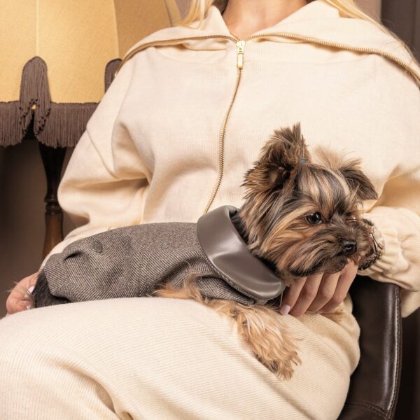 Жакет Pet Fashion «Harry» для собак, коричневий - Image 4