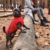 Жилет Pet Fashion «E.Vest» для собак - Image 4