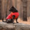 Жилет Pet Fashion «E.Vest» для собак - Image 5