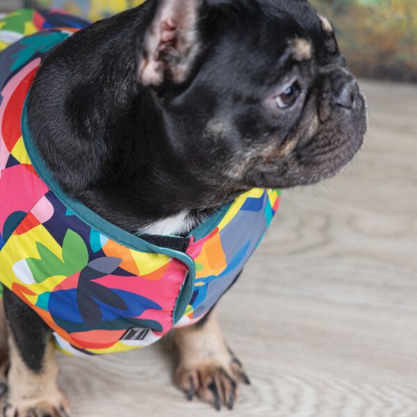 Жилет Pet Fashion «Spring» для собак, принт, різні розміри - Image 4