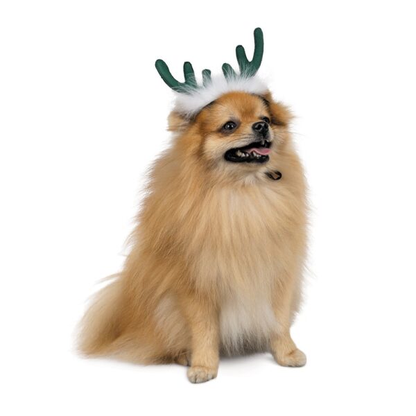 Аксесуар-ріжки Pet Fashion "Deer" для собак, розмір M-L, зелені - Image 2