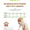 Черевики Ruispet для малих порід собак ,з утепленням, 4 шт./упак. коричневі - Image 3