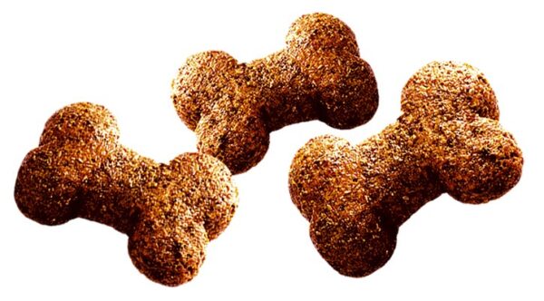 Ласощі для собак Brit Care Dog Crunchy Cracker Insects для підтримки ваги, комахи, індичка та яблуко, 200 г - Image 2