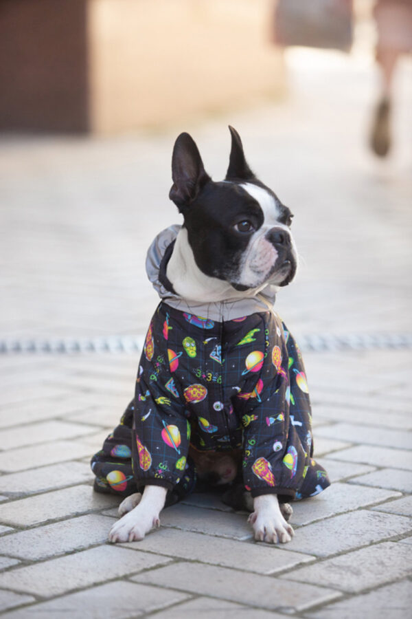 Комбінезон для собак WAUDOG Clothes малюнок "Рік та Морті 2" - Image 46
