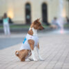 Майка для собак WAUDOG Clothes малюнок "Сміливість" - Image 22