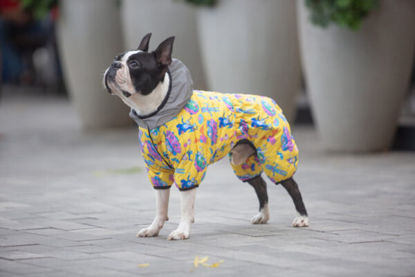 Комбінезон для собак WAUDOG Clothes малюнок "Рік та Морті 3" - Image 21