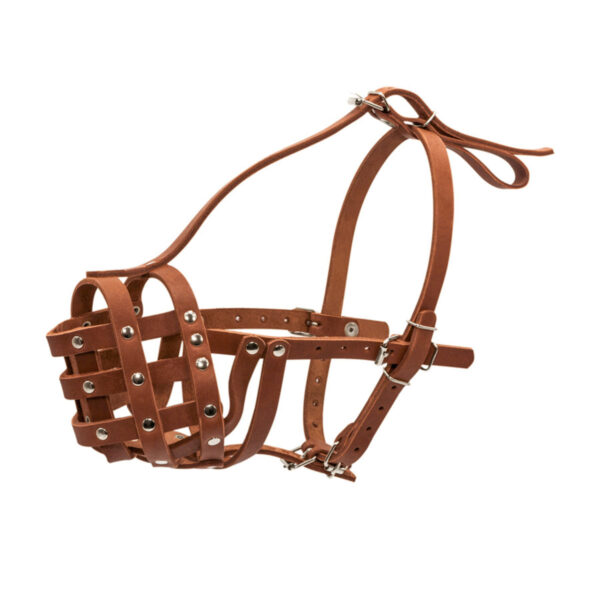 Намордник твердий "CoLLaR", мастино, бульмастиф, ротвейлер великий коричневий - Image 2