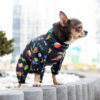 Вітровка для собак WAUDOG Clothes малюнок "Рік та Морті 2" - Image 6