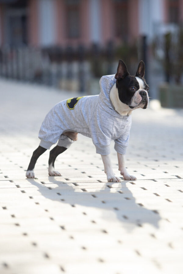 Комбінезон для собак WAUDOG Clothes малюнок "Бетмен лого" - Image 38