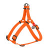 Шлея для собак водостійка WAUDOG Waterproof - Image 9