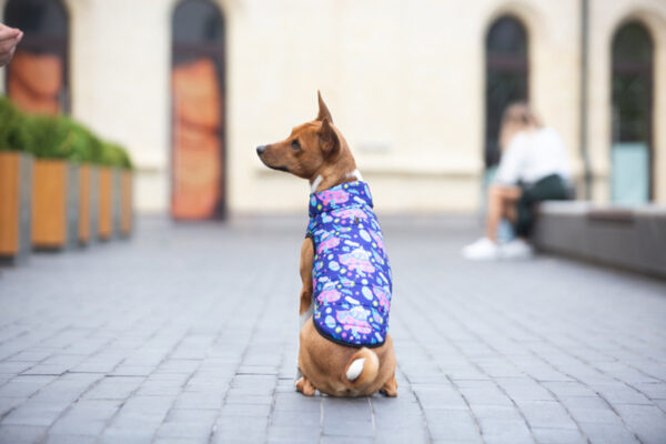Курточка для собак WAUDOG Clothes малюнок "Рік та Морті 1" - Image 10