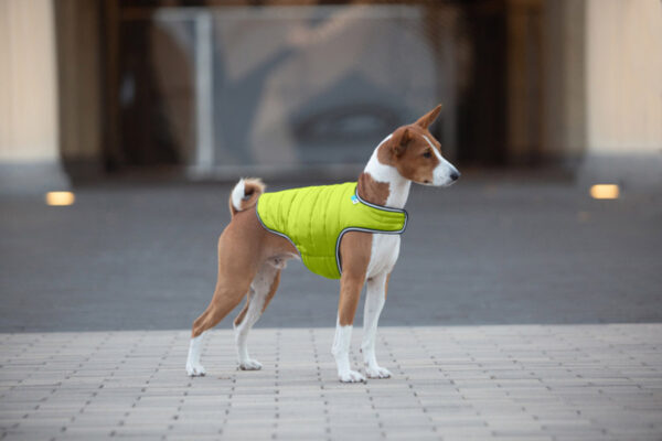 Куртка-накидка для собак AiryVest, салатовий - Image 32