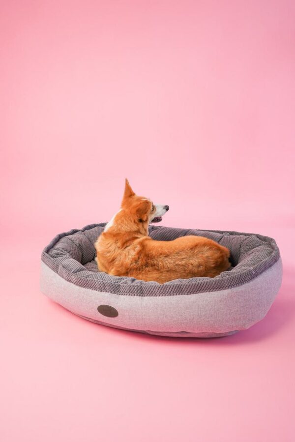 Овальний лежак для середніх та великих собак Donut - Image 12