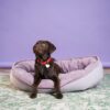Овальний лежак для середніх та великих собак Donut - Image 27