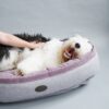 Овальний лежак для середніх та великих собак Donut - Image 28