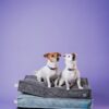 Подушка Memory Foam - Image 3