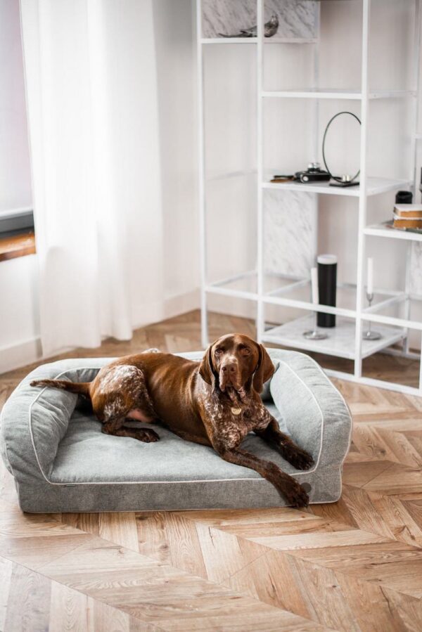 Диван для собак Sleeper - Image 27