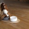 Керамічні миски Bowl NEW NEW NEW - Image 21
