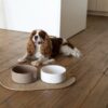 Керамічні миски Bowl NEW NEW NEW - Image 22