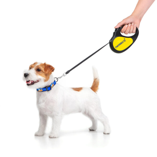 Повідець-рулетка для собак WAUDOG R-leash малюнок "Сміливість" - Image 13