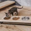 Три миски на підставці для котів Lunch Bar Wood ДЛЯ КОТИКІВ - Image 36