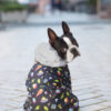 Комбінезон для собак WAUDOG Clothes малюнок "Рік та Морті 2" - Image 6