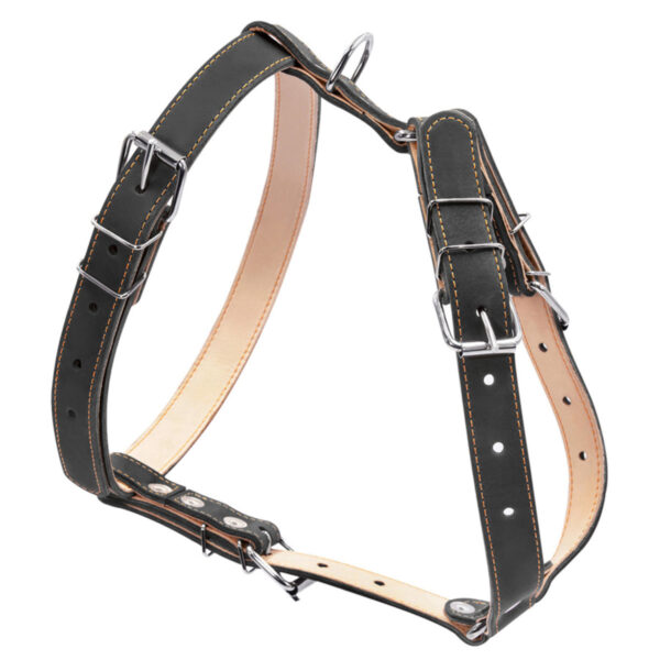 Шлея "CoLLaR" подвійна для середніх собак, ширина 25мм, А:49-68см, В:68-80см, чорний