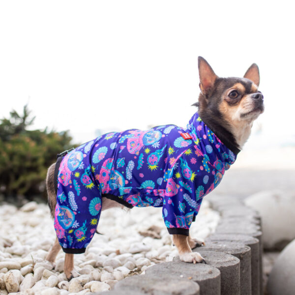 Вітровка для собак WAUDOG Clothes малюнок "Рік та Морти 1" - Image 9
