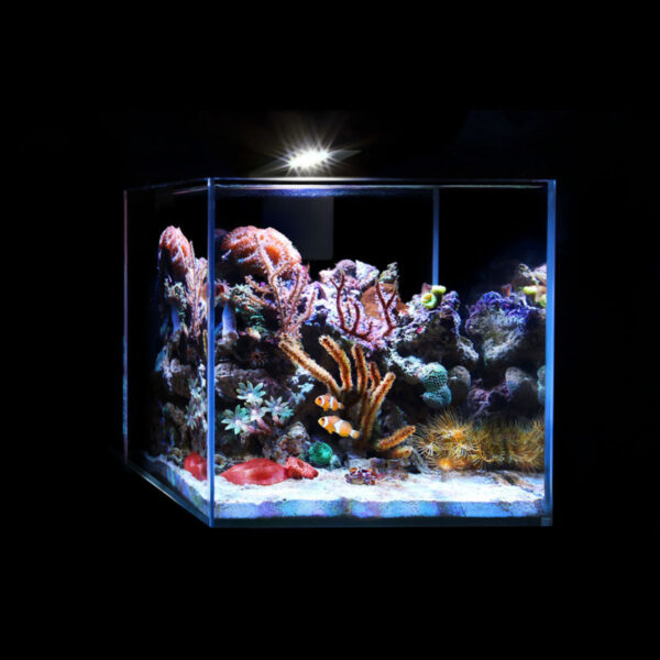 Світлодіодний світильник AquaLighter Nano Marine, для морського акваріуму до 20л 12000К - Image 5