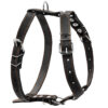 Шлея "CoLLaR" одинарна для середніх собак, ширина 25мм, А:49-68см, В:68-80см, чорний