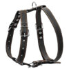 Шлея "CoLLaR" одинарна для середніх собак, ширина 25мм, А:49-68см, В:68-80см, чорний - Image 2
