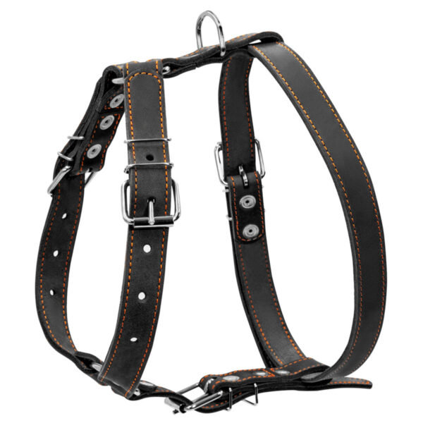 Шлея "CoLLaR" одинарна для середніх собак, ширина 25мм, А:49-68см, В:68-80см, чорний - Image 2