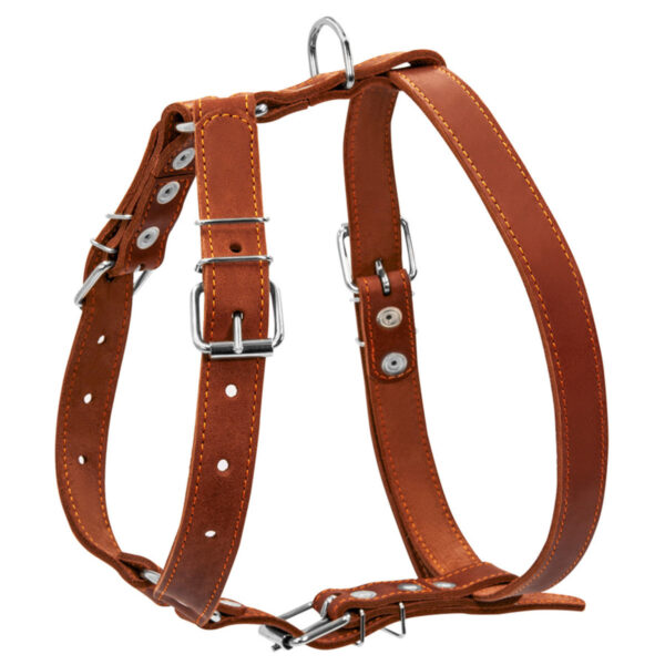 Шлея "CoLLaR" одинарна для середніх собак, ширина 25мм, А:49-68см, В:68-80см, коричневий - Image 2