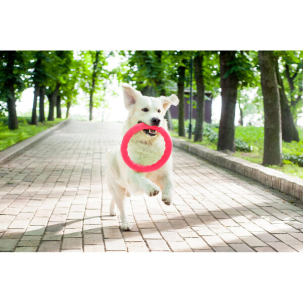 Кільце для апортировки PitchDog17 - Image 69