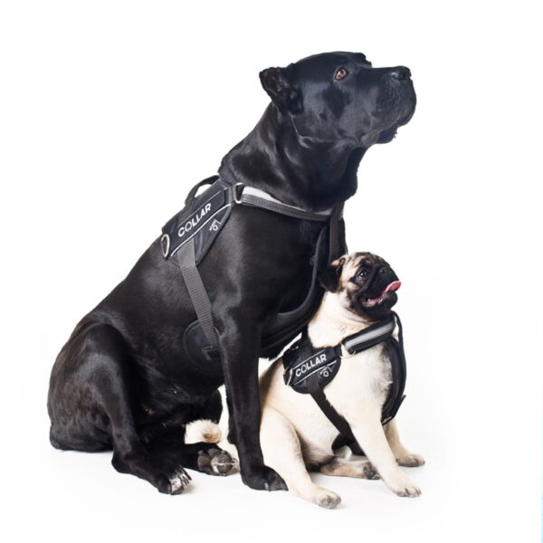 Шлея "Dog Extreme" "POLICE" №2. В:40-60см, чорний - Image 4