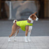 Куртка-накидка для собак AiryVest, салатовий - Image 6
